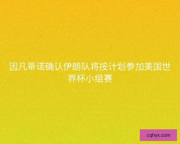 因凡蒂诺确认伊朗队将按计划参加美国世界杯小组赛