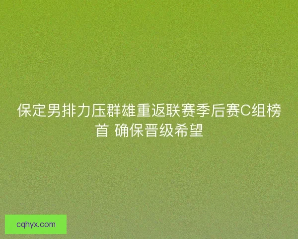保定男排力压群雄重返联赛季后赛C组榜首 确保晋级希望